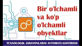 Bir o'lchamli va ko'p o'lchamli obyektlar