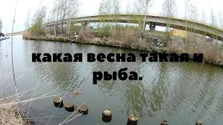 Мормышинг  непутевой весной.