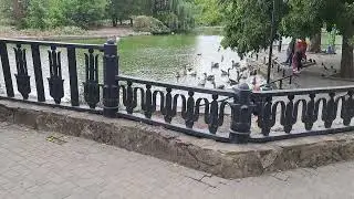 Шикарное место в Краснодаре !!! И уходить не хочется !!!