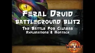 TWW Feral Druid BG Blitz - Battle For Gilneas