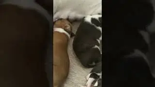 "Стол" для жалоб))))