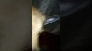 Мира-сладкоежка.Эрмигурт клубничный.