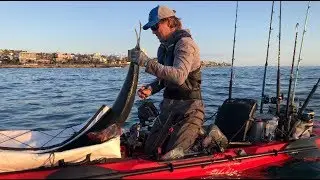 (S2 Ep124) Texan goes offshore kayak fishing in San Diego, La Jolla Shores CA