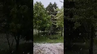 Такой проказник нынче МайЕму цветы ничуть не жальШутить и баловаться радТакой он, нежный-снежный Май