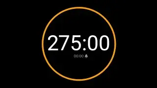 275 Minute Timer with Alarm