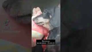 В память о моей родной девочке.