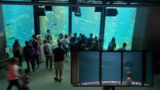 Monterey Bay Aquarium, 1986 v 2021: Scenes from Star Trek IV: The Voyage Home