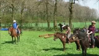 Gemeinsam Tölten!!
