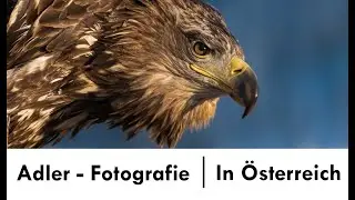 Adler Fotografie in Österreich!