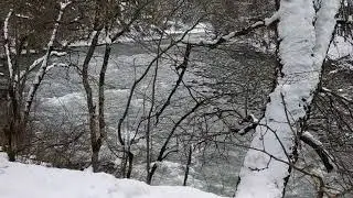 ЛагоНаки 01.2019 kurshavel