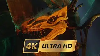 Немного истории | Аватар  (2009) 4k