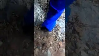 Dredge Nozzle Action, Gravel Vacuum, Is There Gold?🤔 #shorts #gold #adventure