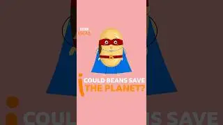 Could BEANS help save the planet? #Beans #ClimateChange #BBCIdeas