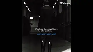 BTS ~BLACKSWAN TÜRKÇE LYRICS #kpop #bts #army #keşfet
