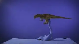 Allosaurus Magic flight  Stop Motion