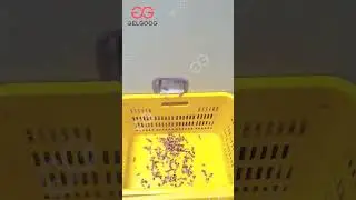 Date Palm Seeds Pitting Remove Machine