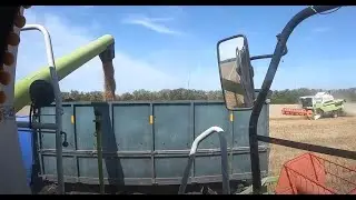 Ремонт комбайна CLAAS MEGA 370 и начало уборки.