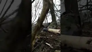 Прицільний постріл - і ще кілька орків повернуться додому в чорних пакетах