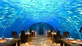 This is what restaurants do and I didn't know
