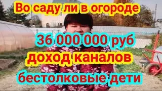 Во саду ли в огороде Юлия Миняева Доход Канала ютуб 36 000 000 руб