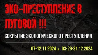 31.12.2024 - Фиксация сокрытия мусора на полях Научного городка - Луговая