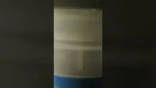 2 часть Стёпы хомяк