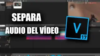 COMO SEPARAR EL AUDIO DEL VÍDEO EN SONY VEGAS