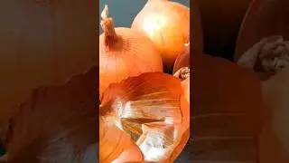 Сіз білмей лақтырып жүрген ПИЯЗ ҚАБЫҒЫНЫҢ ПАЙДАСЫ.