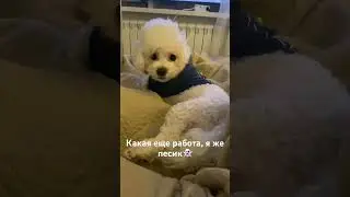 Взгляд полный удивления 😂