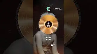 Mon premier album est disque d’or ! 📀