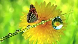 QUANTUM RELAXATION: Healing Music ("Dance Awake The Dream") HD