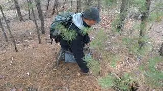 Секач