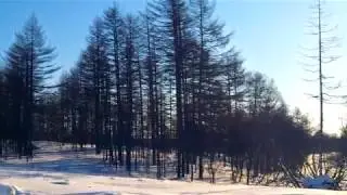 О, Ноглики - морозов благодать!
