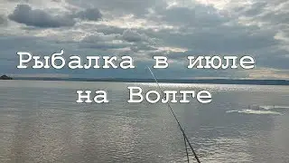 Рыбалка в июле на Волге