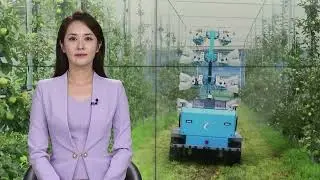 로봇이 대신하는 과수농사…“농촌 일손부족 해소 기대” / NBS투데이