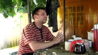 Николаевские голуби Сергея Родионова (У голубеводов г.Кисловодск ). Волгоград. Часть 33.