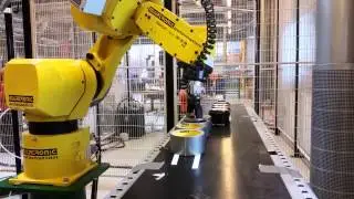 Fanuc M-6iB
