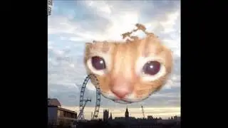 h-hewwo?