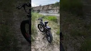 A Mighty Beast In Its Own Environment ENGWE X24