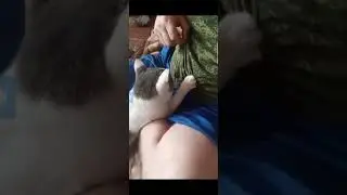 Забавные животные)))
