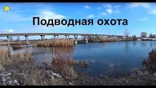 Подводная охота под мостом
