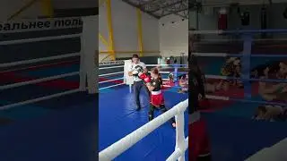 Работа на лапах в школе Им.В.Н.Кызым. г.Липецк