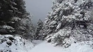 kar