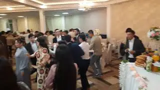 туй