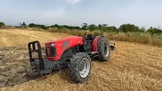 Hasat Sonrası Pulluk İle Anız Sürümü | MF3630