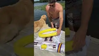 This hack could save your dogs life🐶