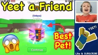 *MAX LEVEL WORLD and BEST PET* - Roblox Yeet a Friend…