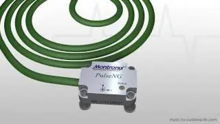 PulseNg e Strain link sensor