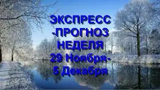 Экспресс-прогноз неделя 29 Ноября-5 Декабря 