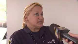 Investigan matanza de 8 perros por envenenamiento en San Sebastián